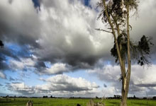 不朽情缘平台网站：《体育英语》播出安排.